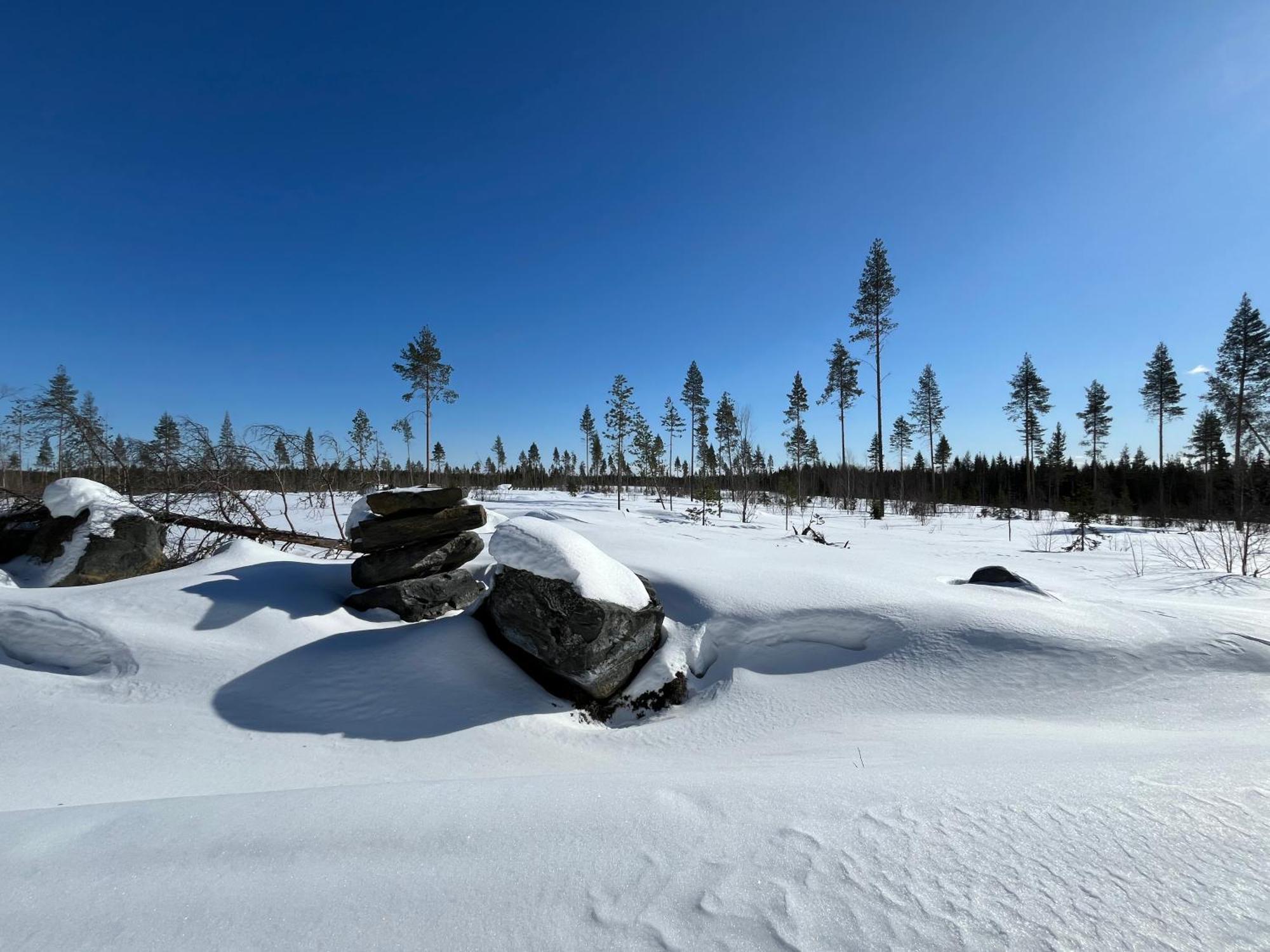 Log Cottages In 10 Min From Santa Claus Village-Sauna&Freeparking Rovaniemi Dış mekan fotoğraf